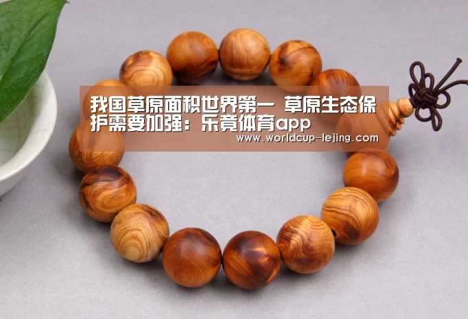 我国草原面积世界第一 草原生态保护需要加强:乐竟体育app(图1) 乐竟体育app